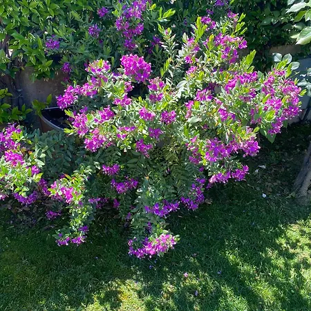 Hotel Ristorante Casa Rossa