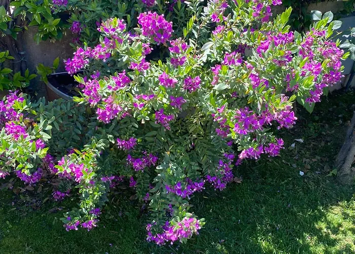 ホテル Ristorante Casa Rossa